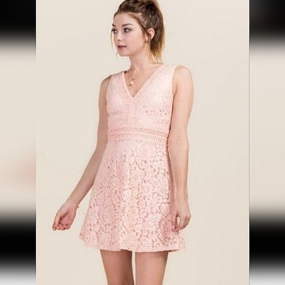Pink Malinda Metallic Lace Dress by Francesca sz Large